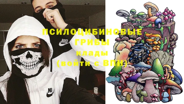 COCAINE Богданович