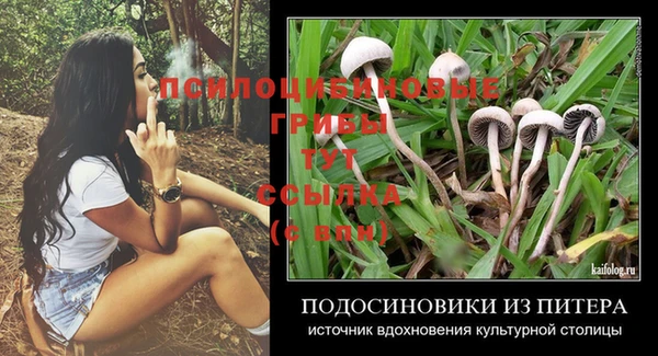гашиш Богородицк